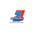 Auto Pedigree | Driver/Cleaner